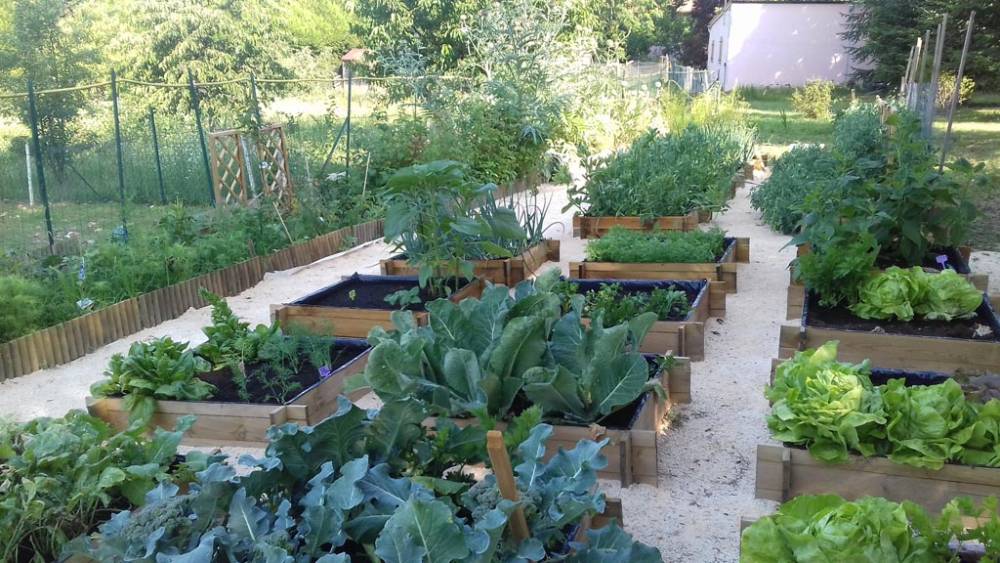 Le potager - La Table de Pierre dans le Périgord